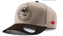 Load image into Gallery viewer, Bad Apple Brewing hat